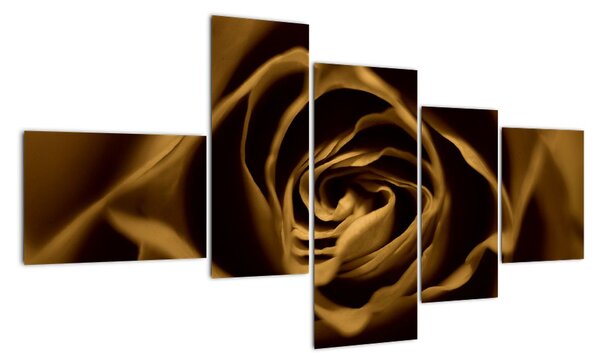 Obraz ruže (Obraz 150x85cm)