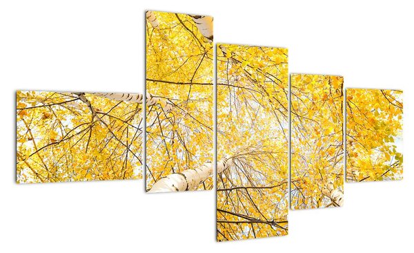 Jesenné lístie - moderný obraz (Obraz 150x85cm)