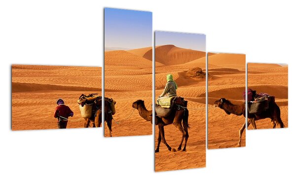 Ťavy v púšti - obraz (Obraz 150x85cm)