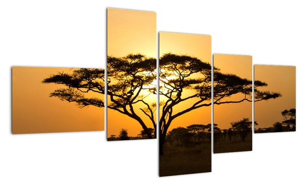 Fotka stromu - obraz (Obraz 150x85cm)