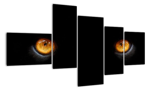 Zvieracie oči - obraz (Obraz 150x85cm)
