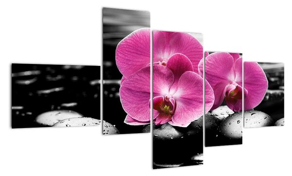 Obraz orchideí (Obraz 150x85cm)