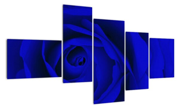 Detail modré ruže - obraz (Obraz 150x85cm)