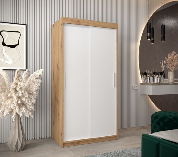 Skriňa s posuvnými dverami v šírke 100 cm TIMEA - dub artisan / biela