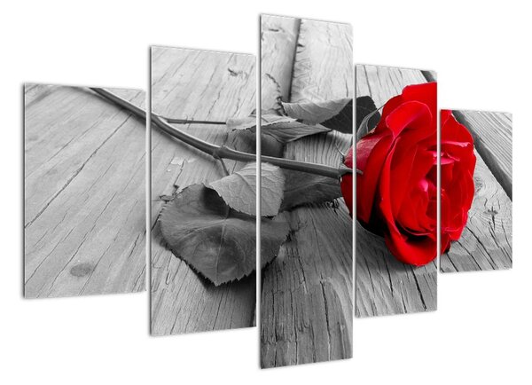 Obraz ruže s červeným kvetom (Obraz 150x105cm)