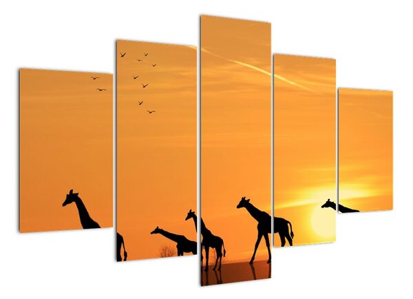 Moderný obraz - žirafy (Obraz 150x105cm)