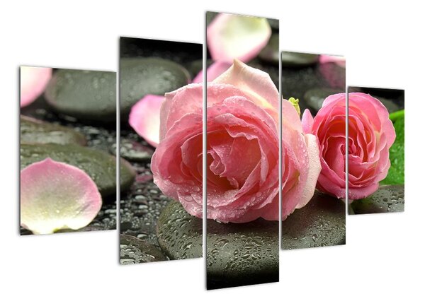 Obraz ruže (Obraz 150x105cm)