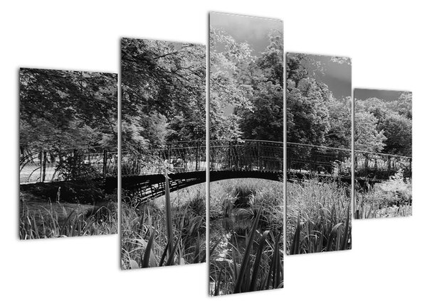 Čiernobiely most - obraz (Obraz 150x105cm)