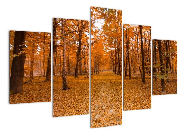 Obraz lesné cesty (Obraz 150x105cm)