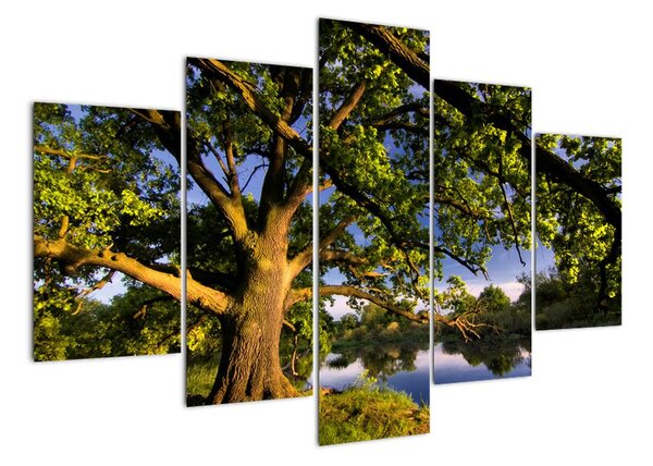 Obraz stromu (Obraz 150x105cm)