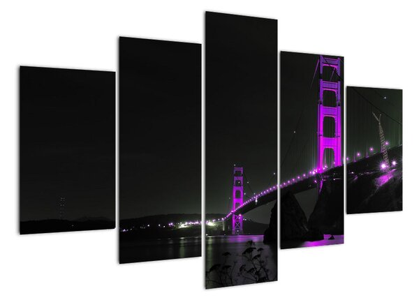 Golden Gate Bridge - obrazy (Obraz 150x105cm)