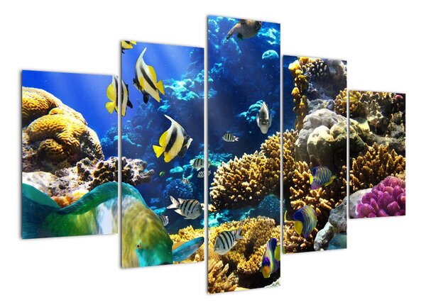 Podmorský svet - obraz (Obraz 150x105cm)