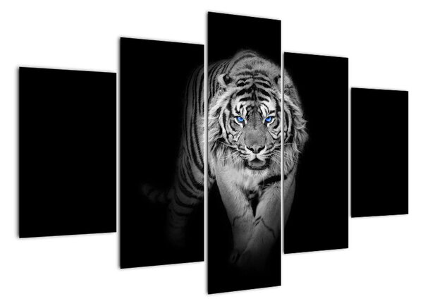 Čiernobiely lev - obraz (Obraz 150x105cm)