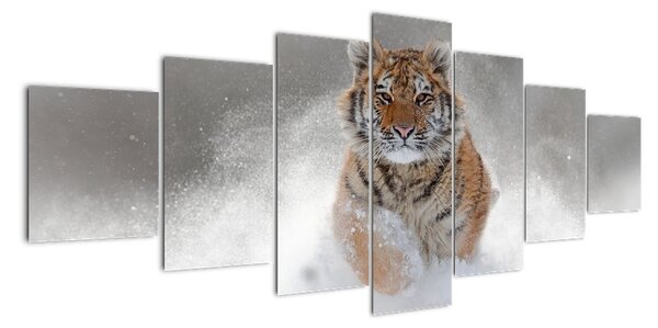 Obraz bežiaceho tigra (Obraz 210x100cm)