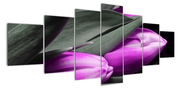Obraz fialových tulipánov (Obraz 210x100cm)