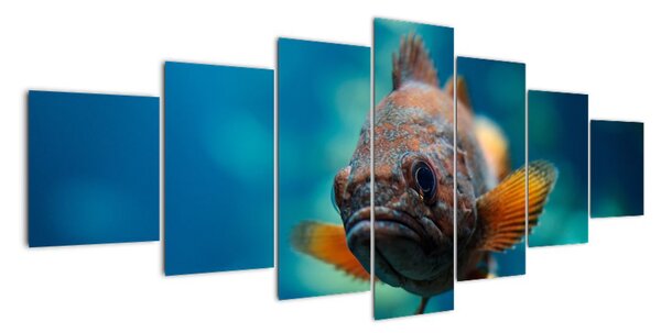 Obraz - ryba (Obraz 210x100cm)