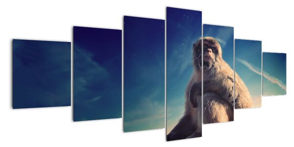 Obraz opice - obrazy zvierat (Obraz 210x100cm)