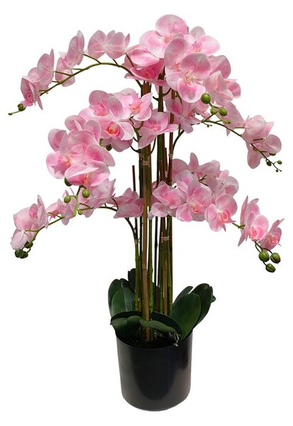 Umelá orchidea ružová 80 cm Eterna Real Touch - Růžová - 71 - 90 cm