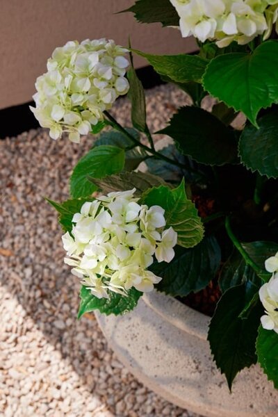 Umelá hortenzia 90 cm s UV ochranou - Biela - 71 - 90 cm - Áno
