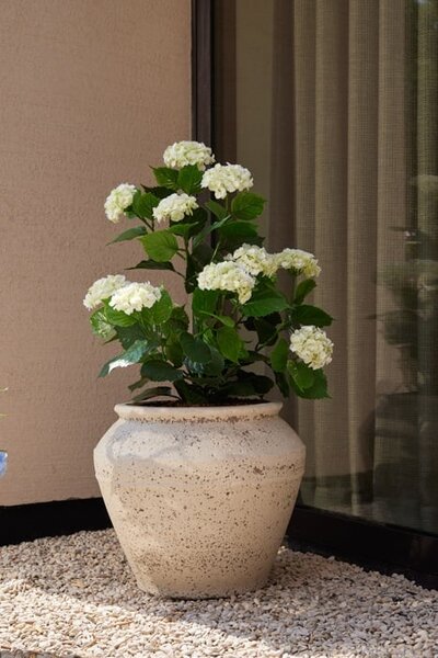 Umelá hortenzia 90 cm s UV ochranou - Biela - 71 - 90 cm - Áno