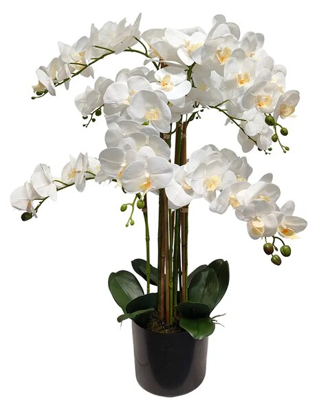 Umelá orchidea biela 80 cm Lia Real Touch - Biela - 71 - 90 cm