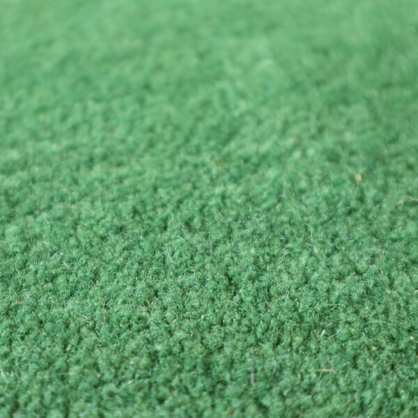 Asra , Ručne všívaný kusový koberec wool sv. zelená, 60x110, zelená, obývacia izba
