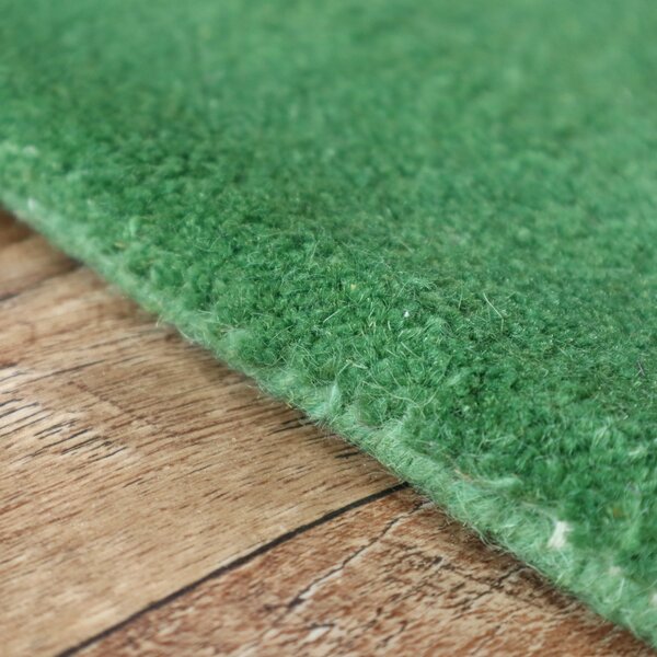 Asra , Ručne všívaný kusový koberec wool sv. zelená, 60x110, zelená, obývacia izba