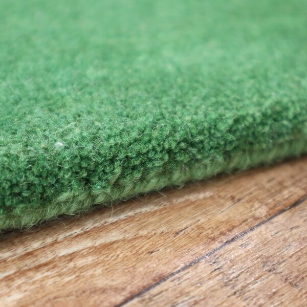 Asra , Ručne všívaný kusový koberec wool sv. zelená, 60x110, zelená, obývacia izba