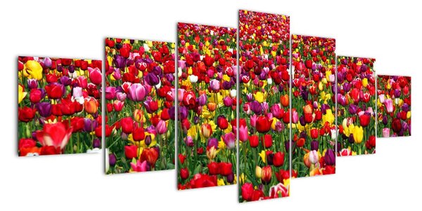 Obraz tulipánov (Obraz 210x100cm)