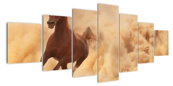 Cválajúci kôň - obraz (Obraz 210x100cm)