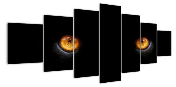 Zvieracie oči - obraz (Obraz 210x100cm)