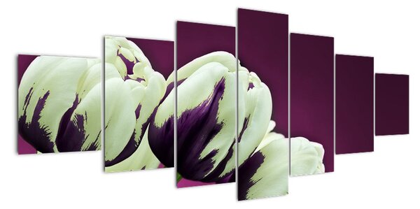 Makro tulipánov - obraz (Obraz 210x100cm)