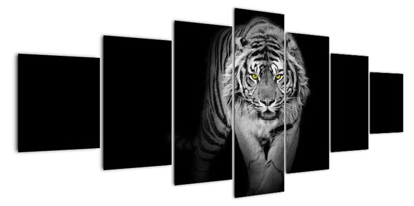 Tiger čiernobiely, obraz (Obraz 210x100cm)