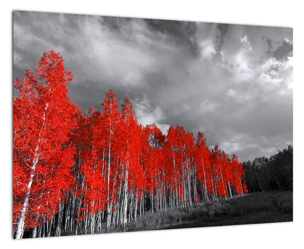Červený les - moderný obraz (Obraz 60x40cm)