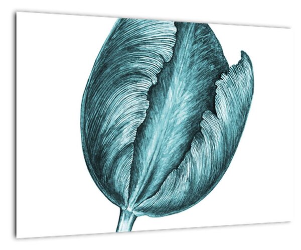Obraz zeleného tulipánu (Obraz 60x40cm)