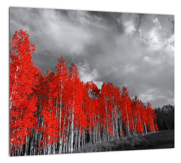 Červený les - moderný obraz (Obraz 30x30cm)