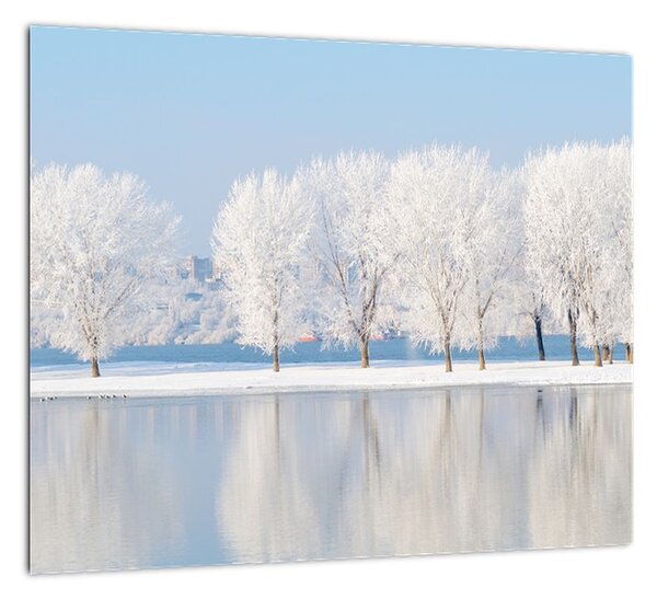 Obraz - zimná príroda (Obraz 30x30cm)