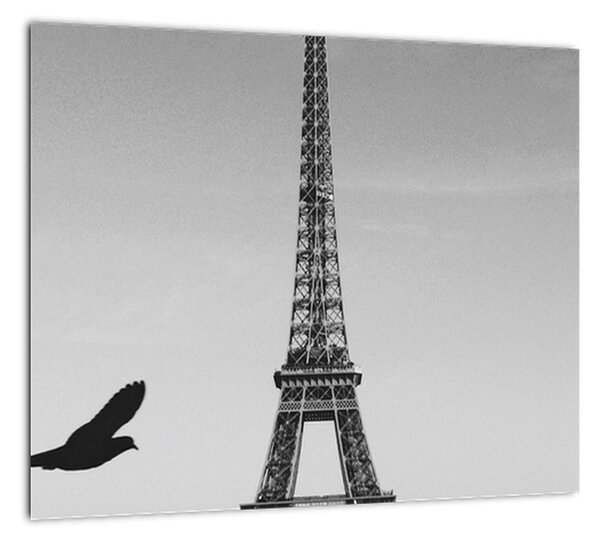 Obraz - Eiffelova veža (Obraz 30x30cm)