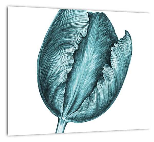 Obraz zeleného tulipánu (Obraz 30x30cm)