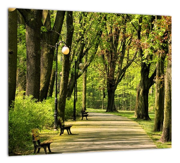 Cesta v parku - obraz (Obraz 30x30cm)
