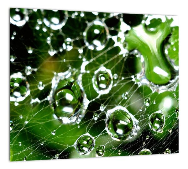 Kvapky vody - obrazy (Obraz 30x30cm)