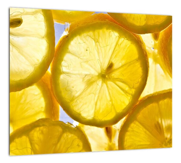 Plátky citrónov - obraz (Obraz 30x30cm)