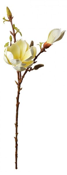Dekorácia umelá vetvička Magnólie so žltými kvetmi - 17*11*70 cm - Clayre & Eef