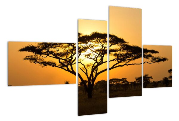 Fotka stromu - obraz (Obraz 110x70cm)
