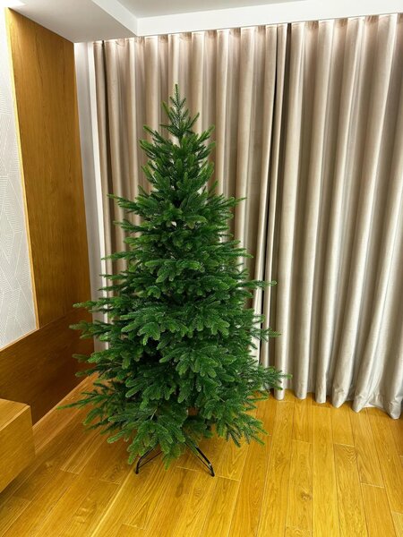 Smrek Kaukazský 3D- 160cm