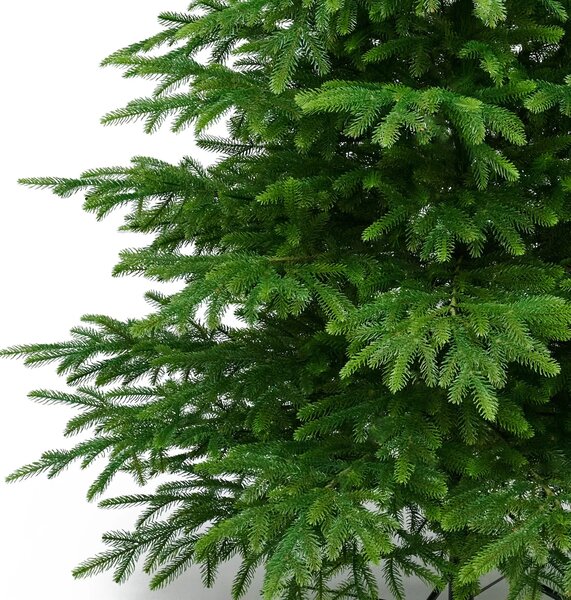 Smrek Beskydský 100% 3D- 160cm
