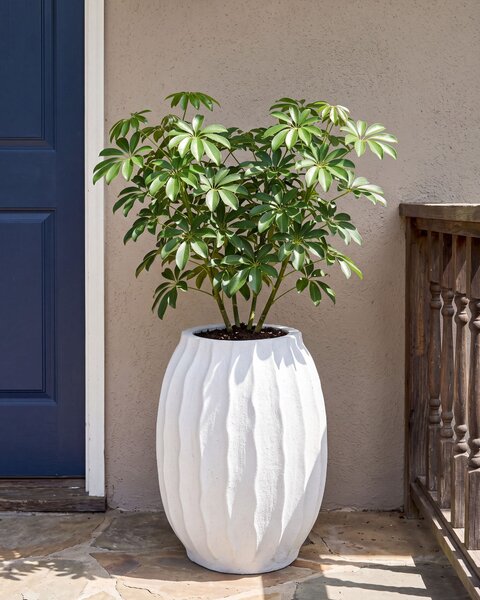 Kvetináč biela cement sklolaminát 35 x 49 cm okrúhly tvar drážkovaný povrch moderný štýl interiér exteriér