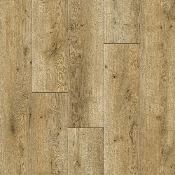 Evolution Home WR 73024 Dub Dublin 2,47 m²