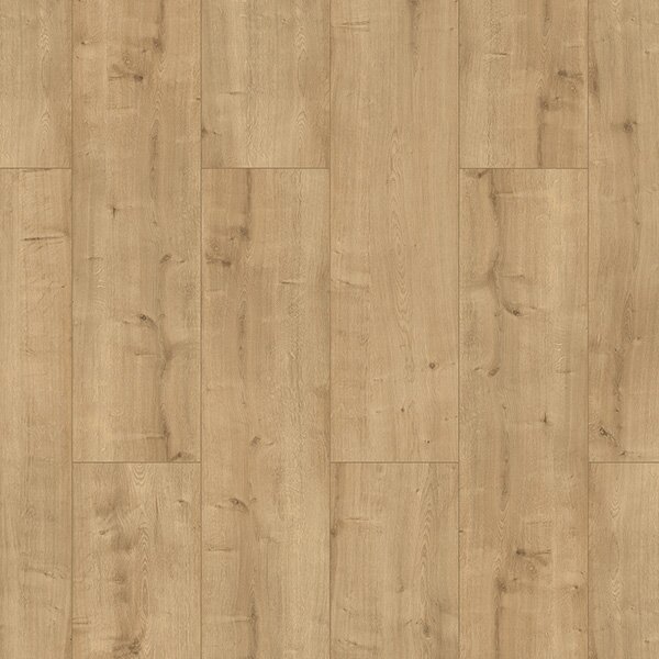 Evolution Home WR 73016 Dub Brighton 2,47 m²