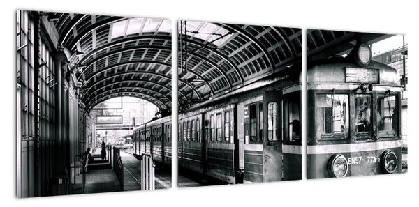 Obraz vlakovej stanice (Obraz 90x30cm)